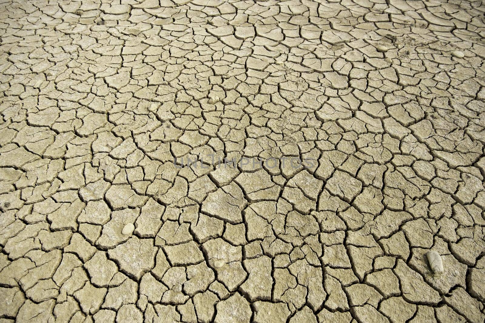 Detail of climate change and environmental destruction