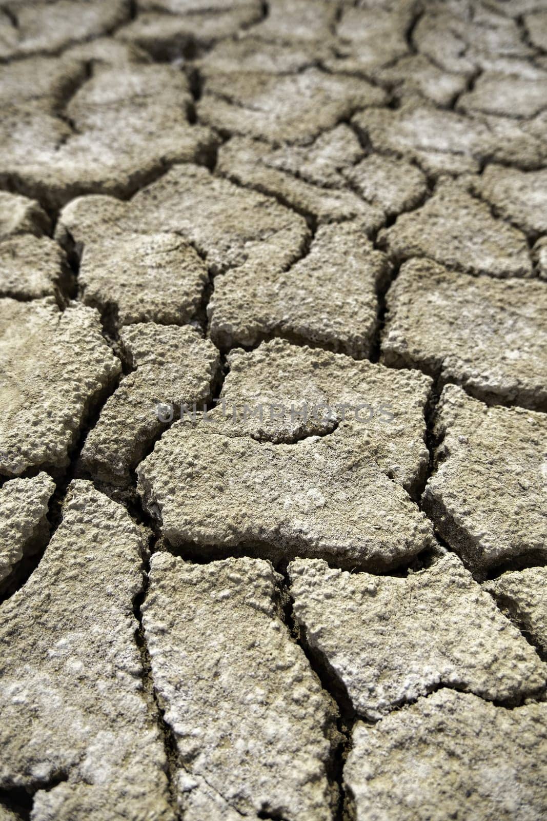 Detail of climate change and environmental destruction