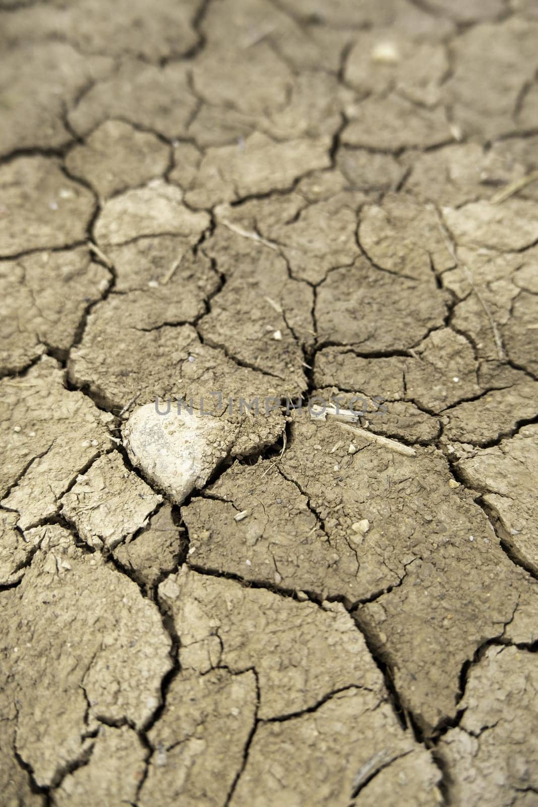 Detail of climate change and environmental destruction