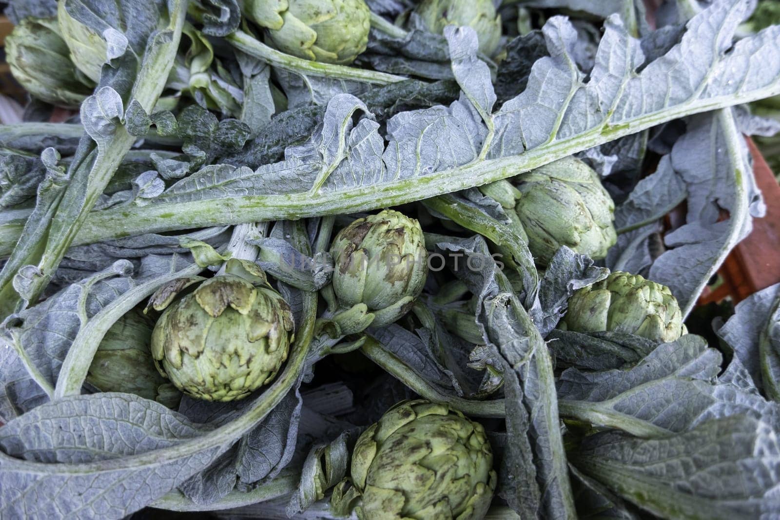 Detail of fresh vegetables in a market in Spain, healthy food, diet