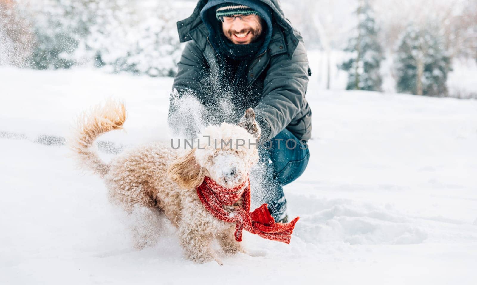 Snowball fight fun with pet and his owner in the snow. Winter holiday emotion. Cute puddle dog and man playing and running in the forest. Film filter image.