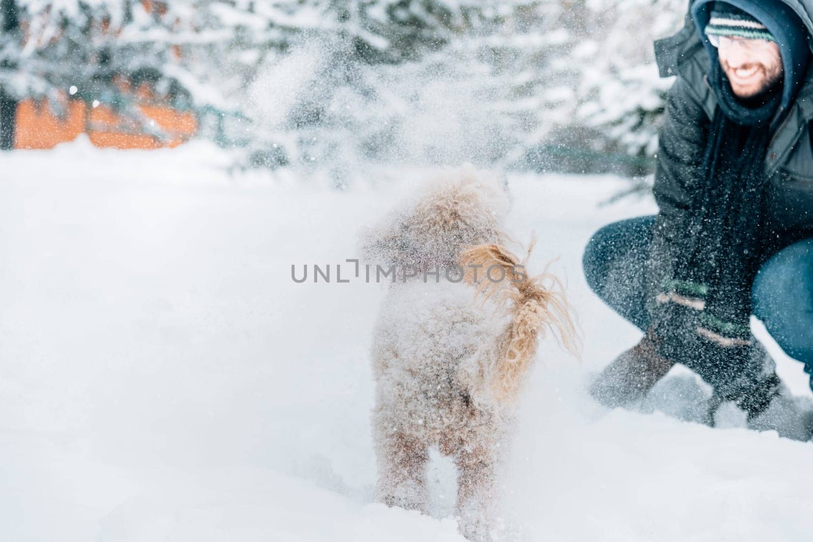 Snowball fight fun with pet and his owner in the snow. Winter holiday emotion. Cute puddle dog and man playing and running in the forest. Film filter image.