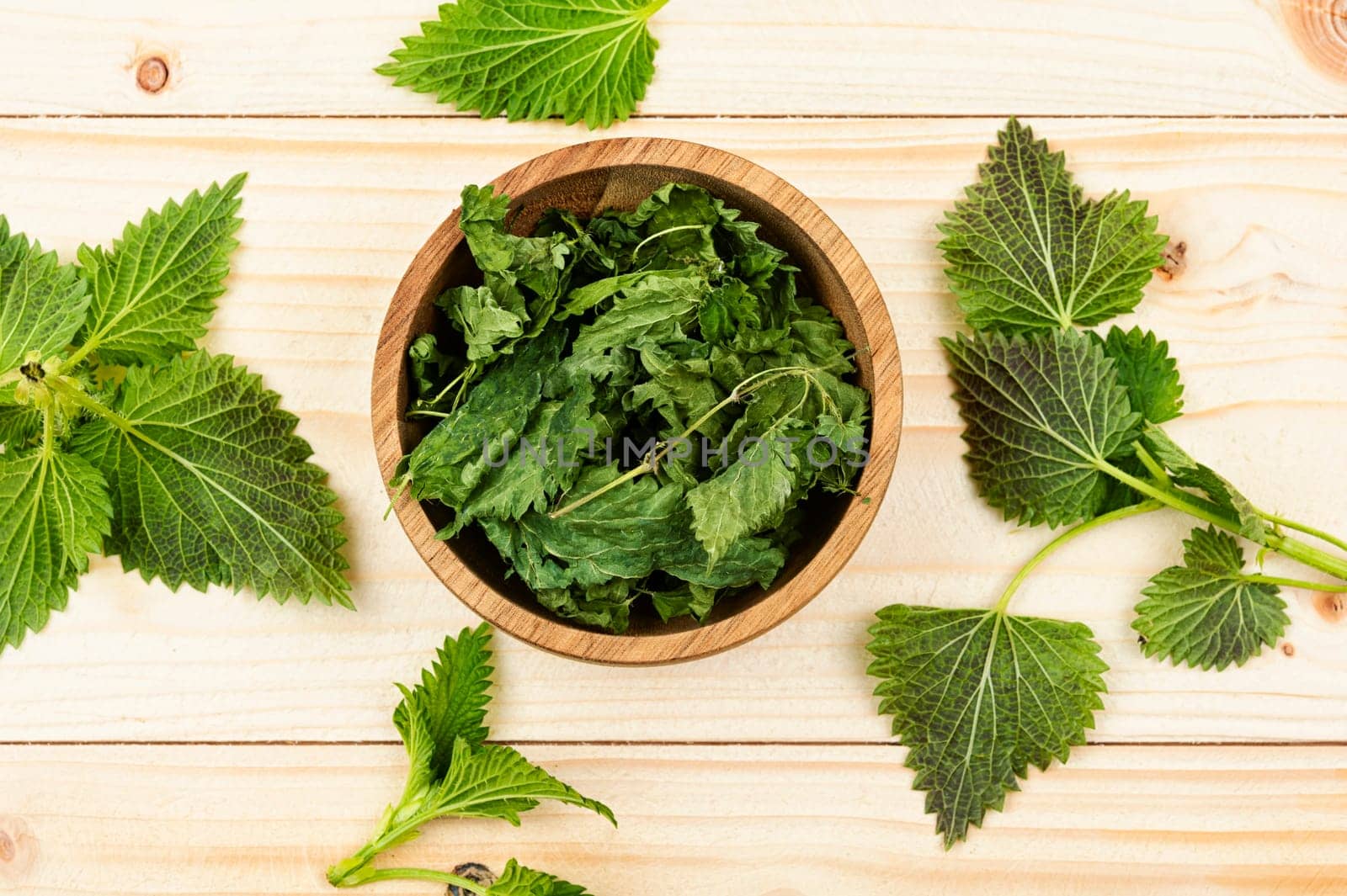 Fresh and dried nettle leaves, homeopathic herbs on a wooden table. Herbal medicine