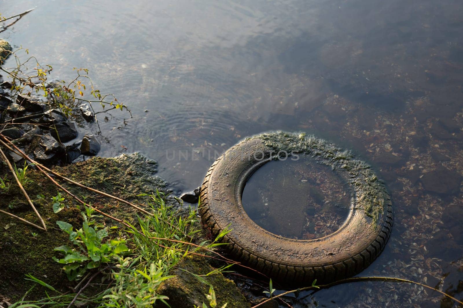 An old car tyre lies on the shore of a lake