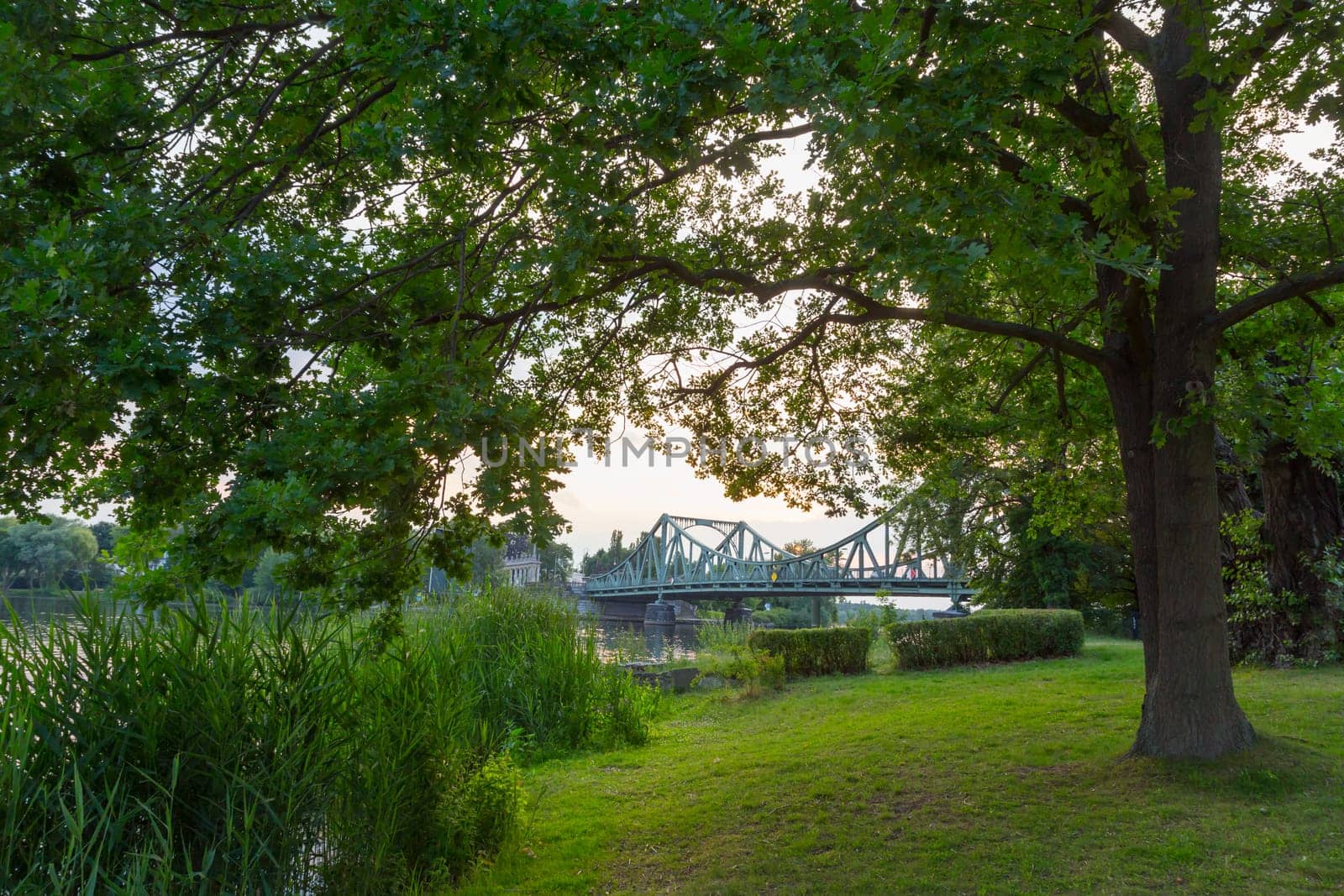 Glienicker Bridge seen from the park