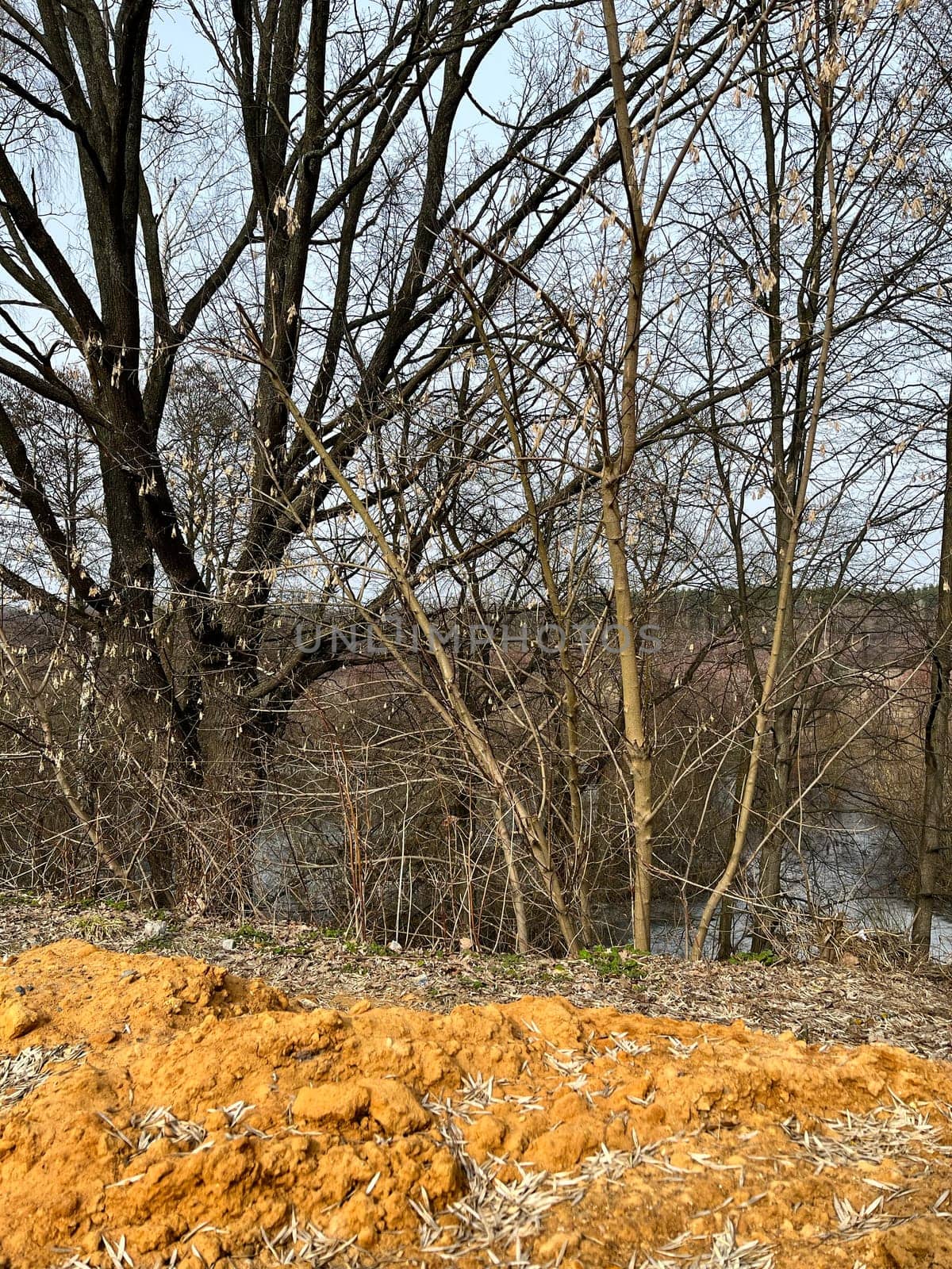 magnificent landscape flooding of the riverbed in early spring in March