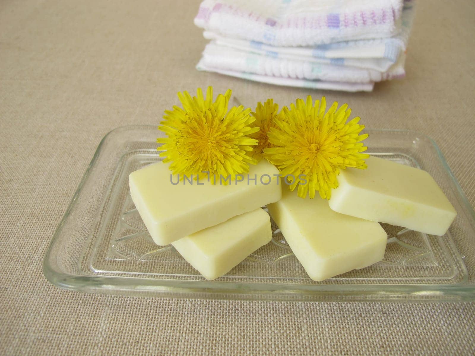 Homemade solid body butter with dandelion oil, cocoa butter, coconut oil