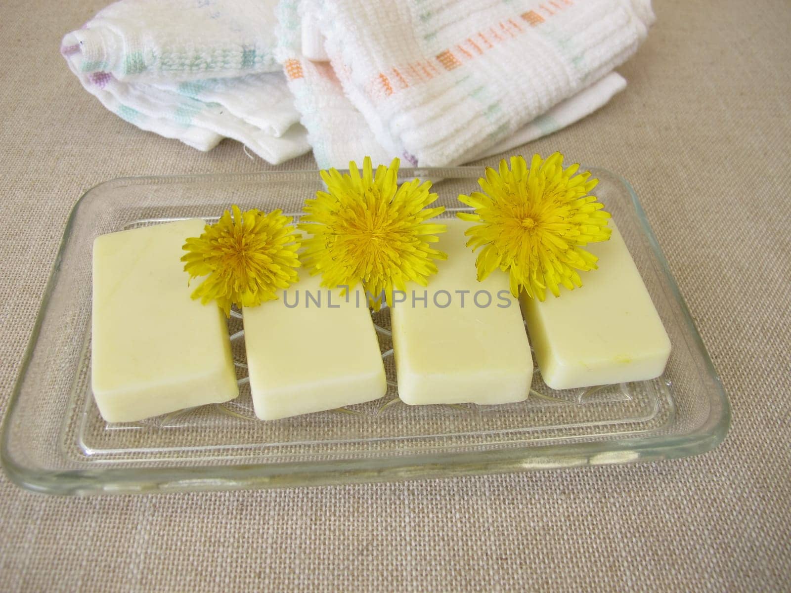 Homemade solid body butter with dandelion oil, cocoa butter, coconut oil