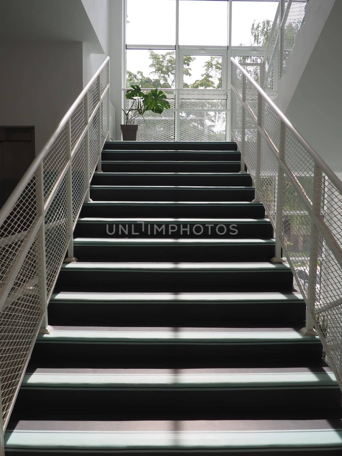 Staircase in the school interior. New modern school. Steps and handrails. Sunshine from a large window. Monstera in a pot on the landing. Modern office or institution design.