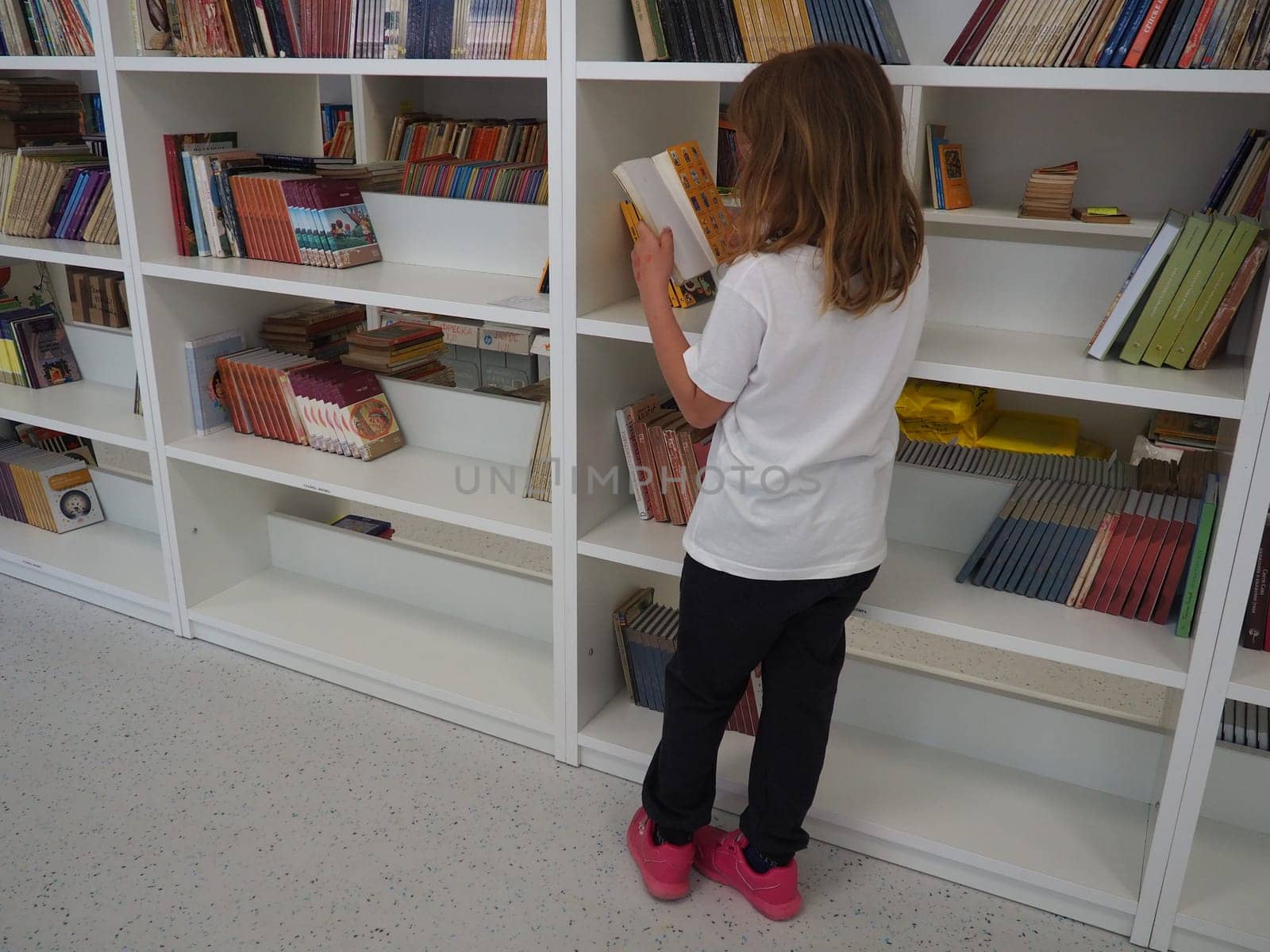 Sremska Mitrovica, Serbia May 15, 2021. A 7-year-old girl in a white T-shirt stands near the bookshelf in the library and reads a book. School education. Love for literature and reading.
