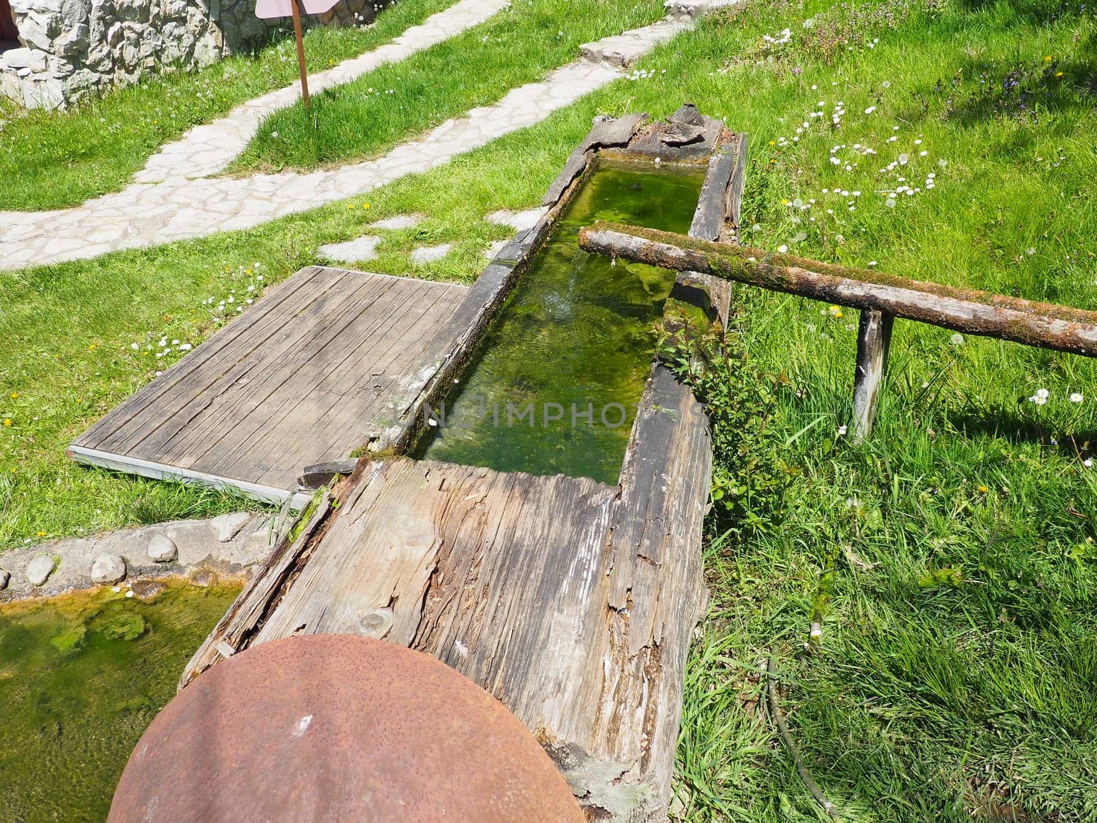 Wooden water trough or livestock drinker. A hewn or hollowed-out log used in rural life. Hollow wooden gutter for water supply. Metal cover of the well and wooden walkways. Green grass on the lawn.