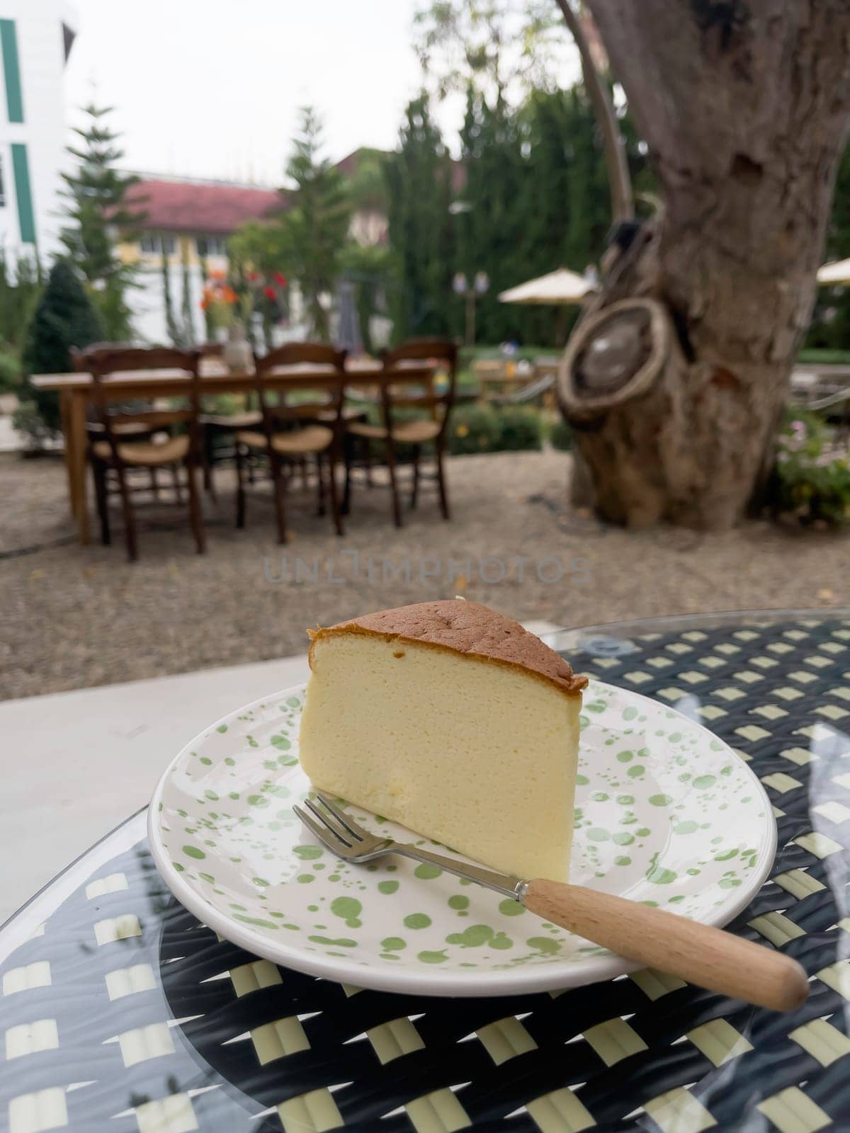 Piece of cheesecake serving in the garden, stock photo