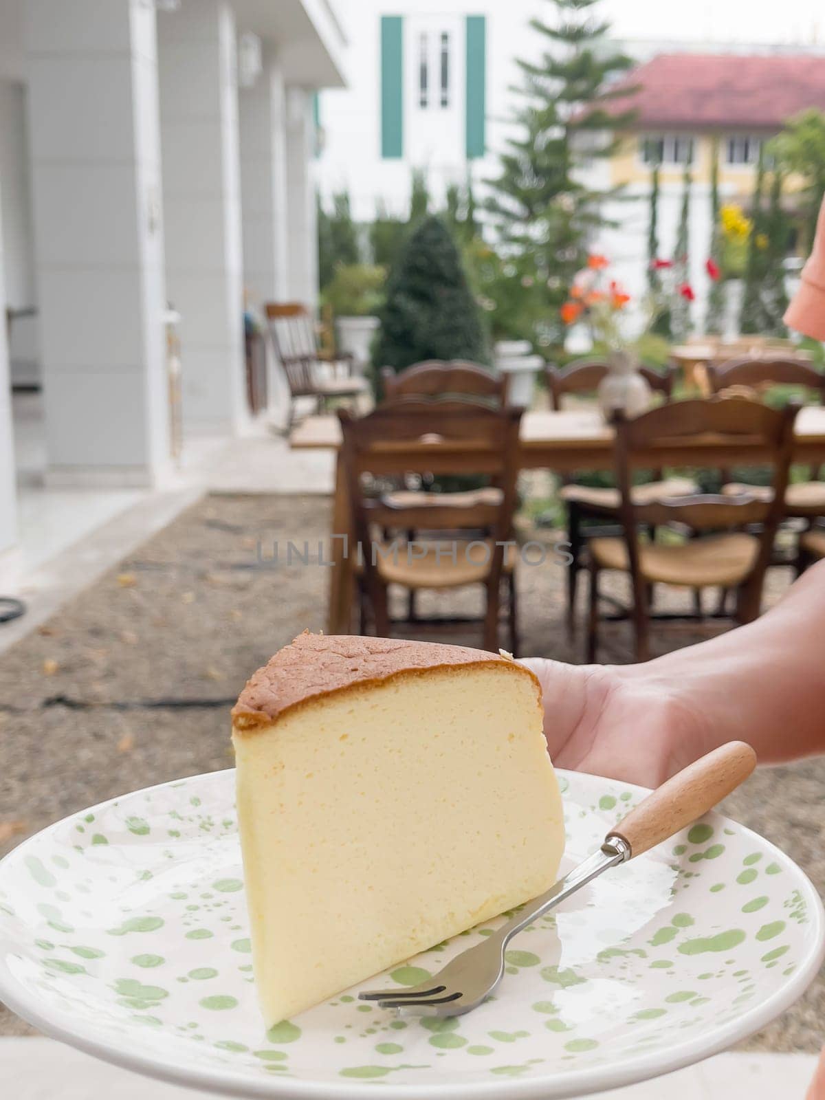 Piece of cheesecake serving in the garden, stock photo