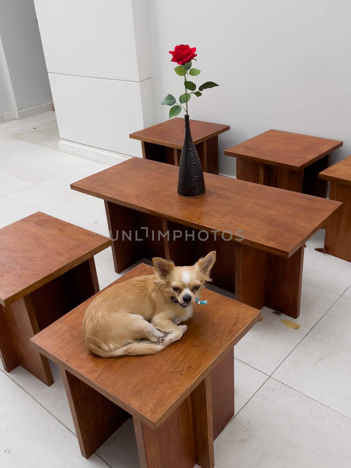 Home outdoor furniture vintage style, stock photo