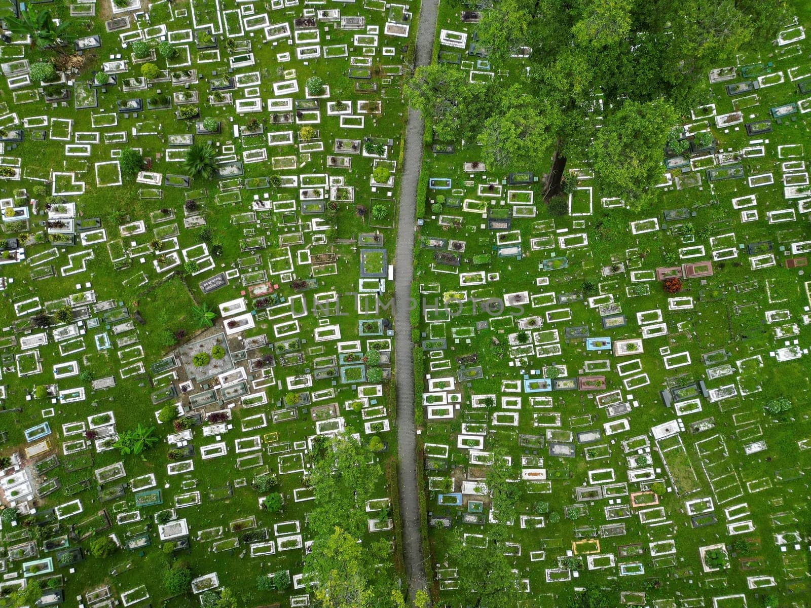Aerial top down view of green lush Muslim cemetery