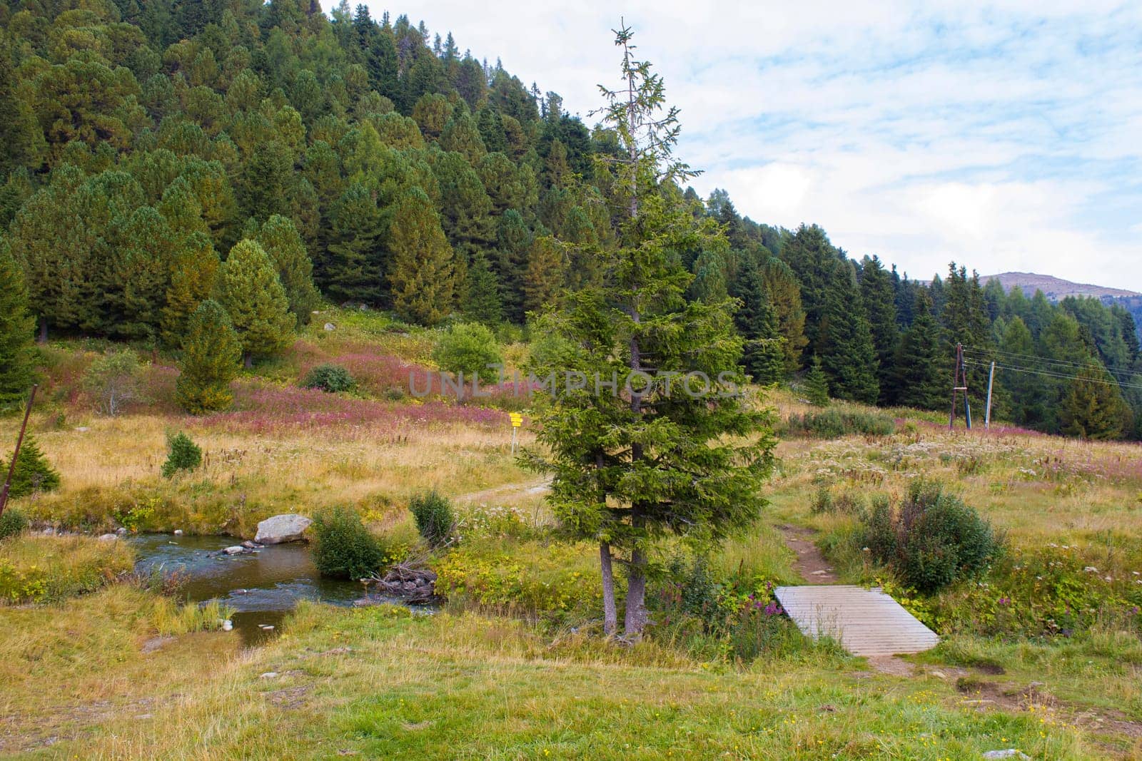 Landscape in Austian Alps, Steiermark, Austria