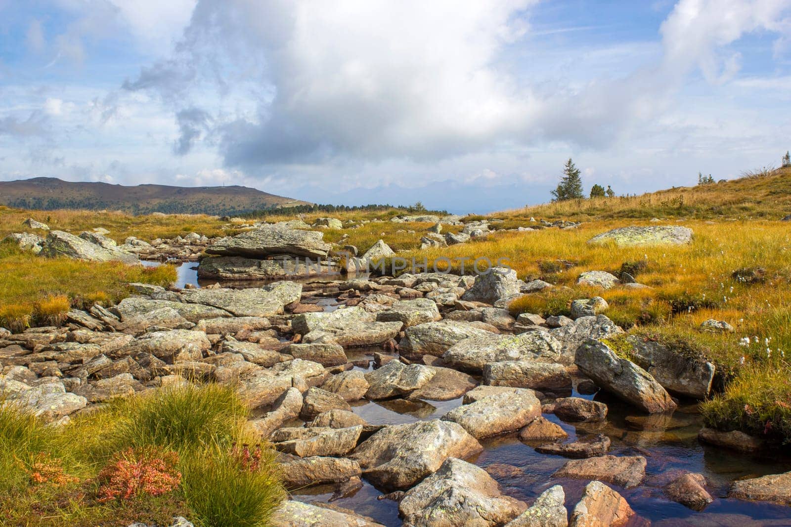 A clear mountain stream on the green meadows in the Austrian Alps, Steiermark, Austria