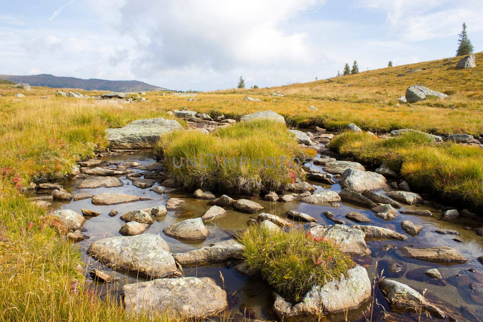 A clear mountain stream on the green meadows in the Austrian Alps, Steiermark, Austria