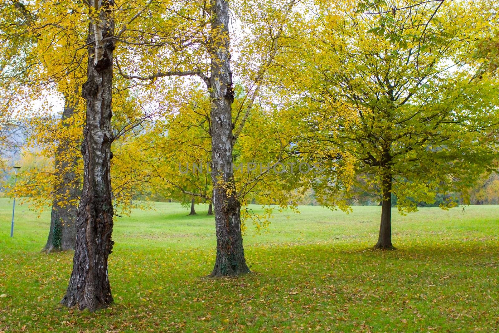 autumn in Toscana Park in Gmunden, Austria