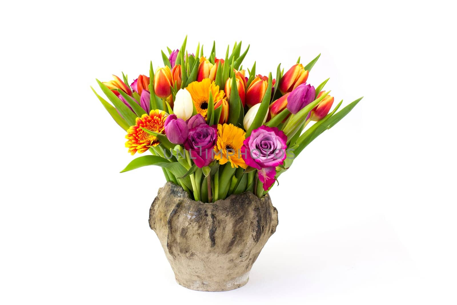 flowers in a vase on white background