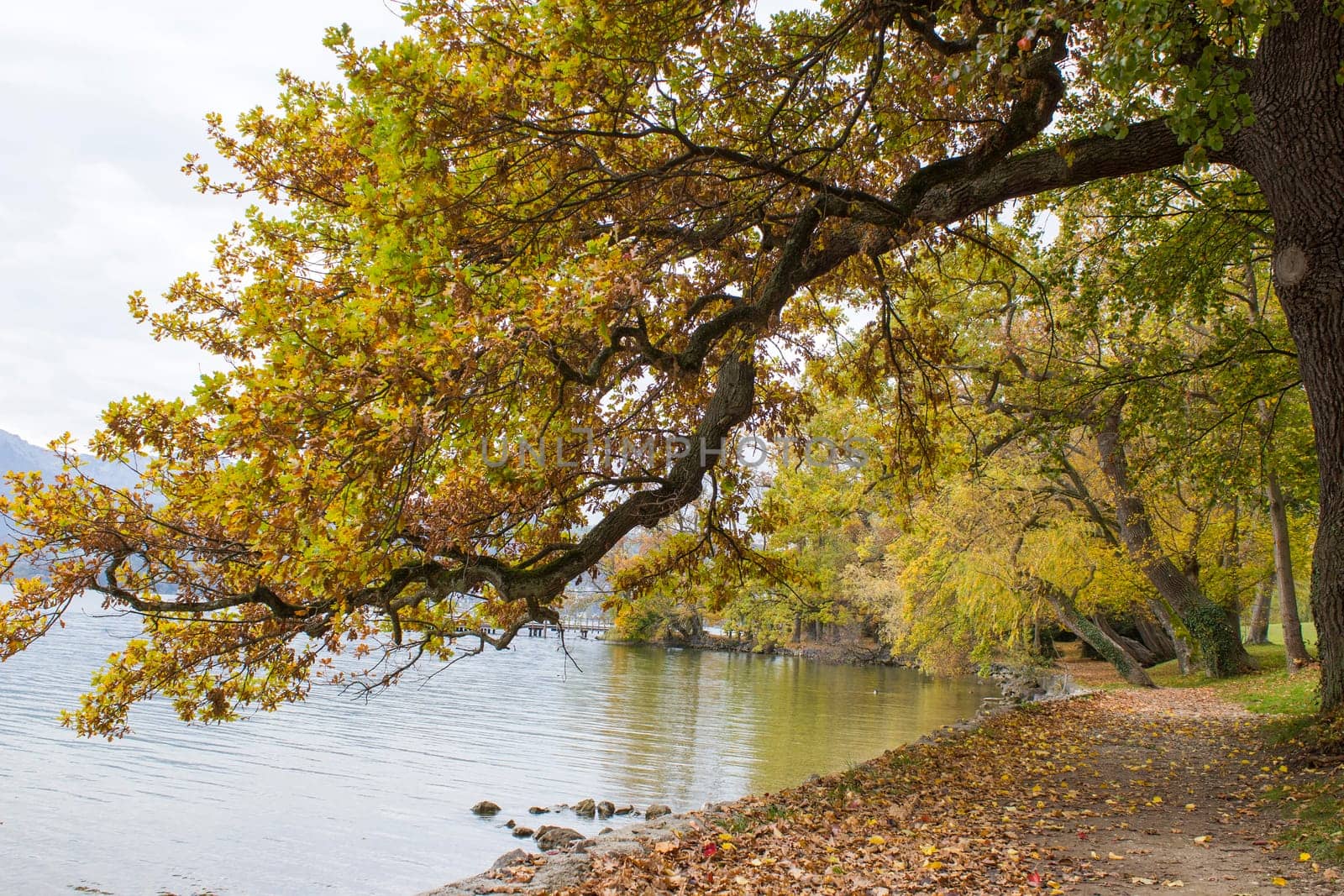 autumn view of lake and trees in Toscana Park, Gmunden