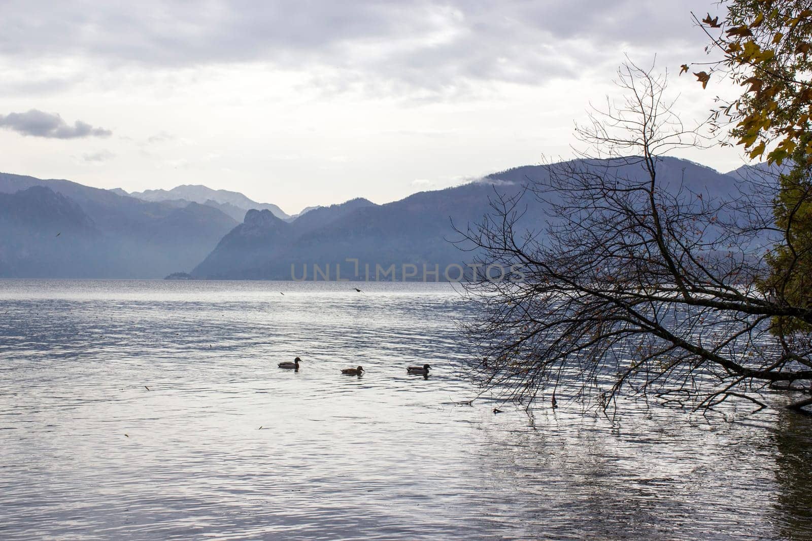 Lake Traunsee and Alps seen from Toscana Park in Gmunden, Upper Austria, Austria