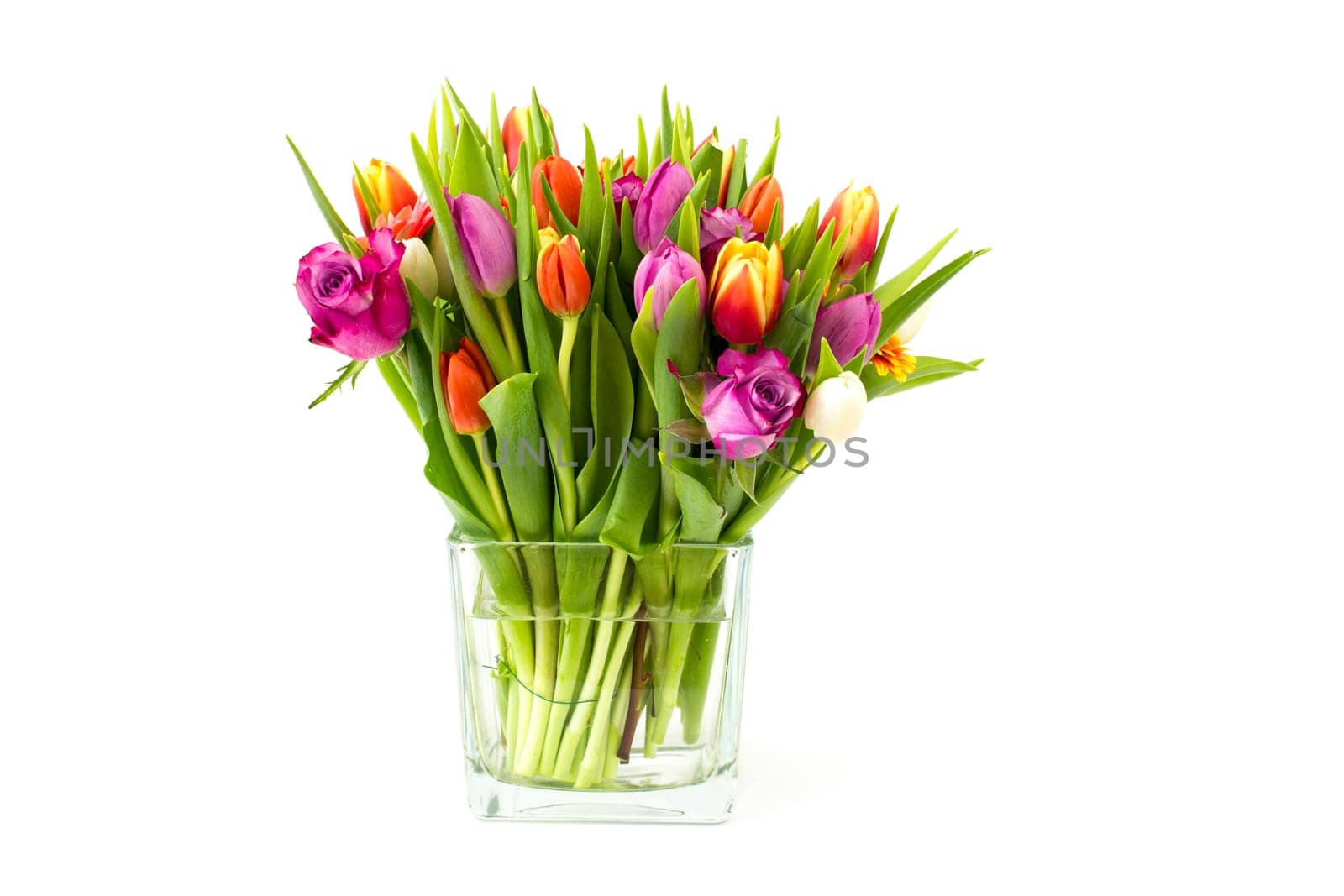 flowers in a vase on white background