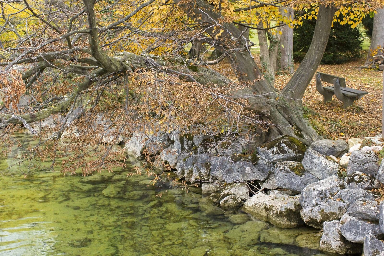 autumn view of lake and trees in Toscana Park, Gmunden