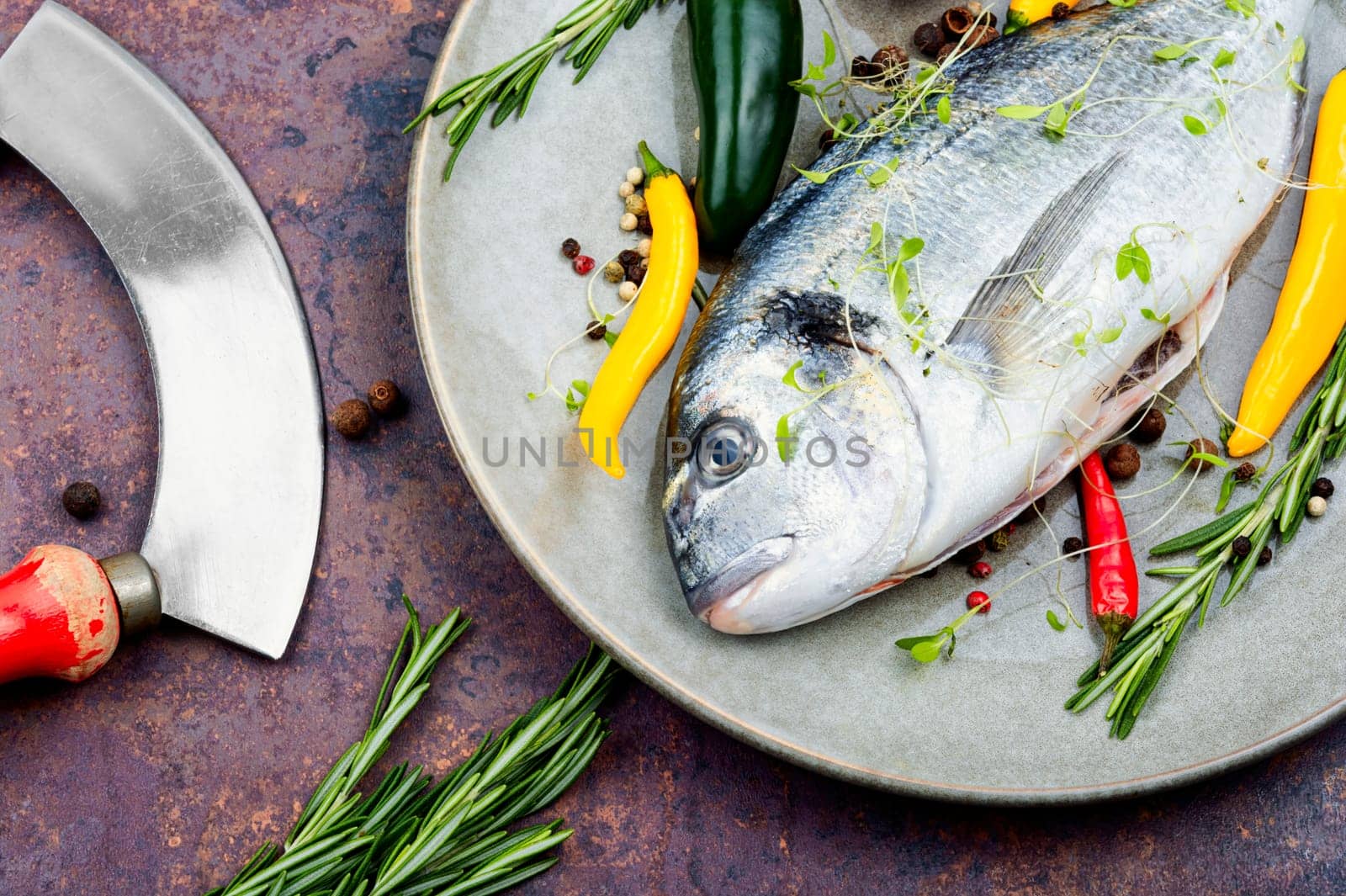 Uncooked dorado fish with ingredients for cooking. Top view