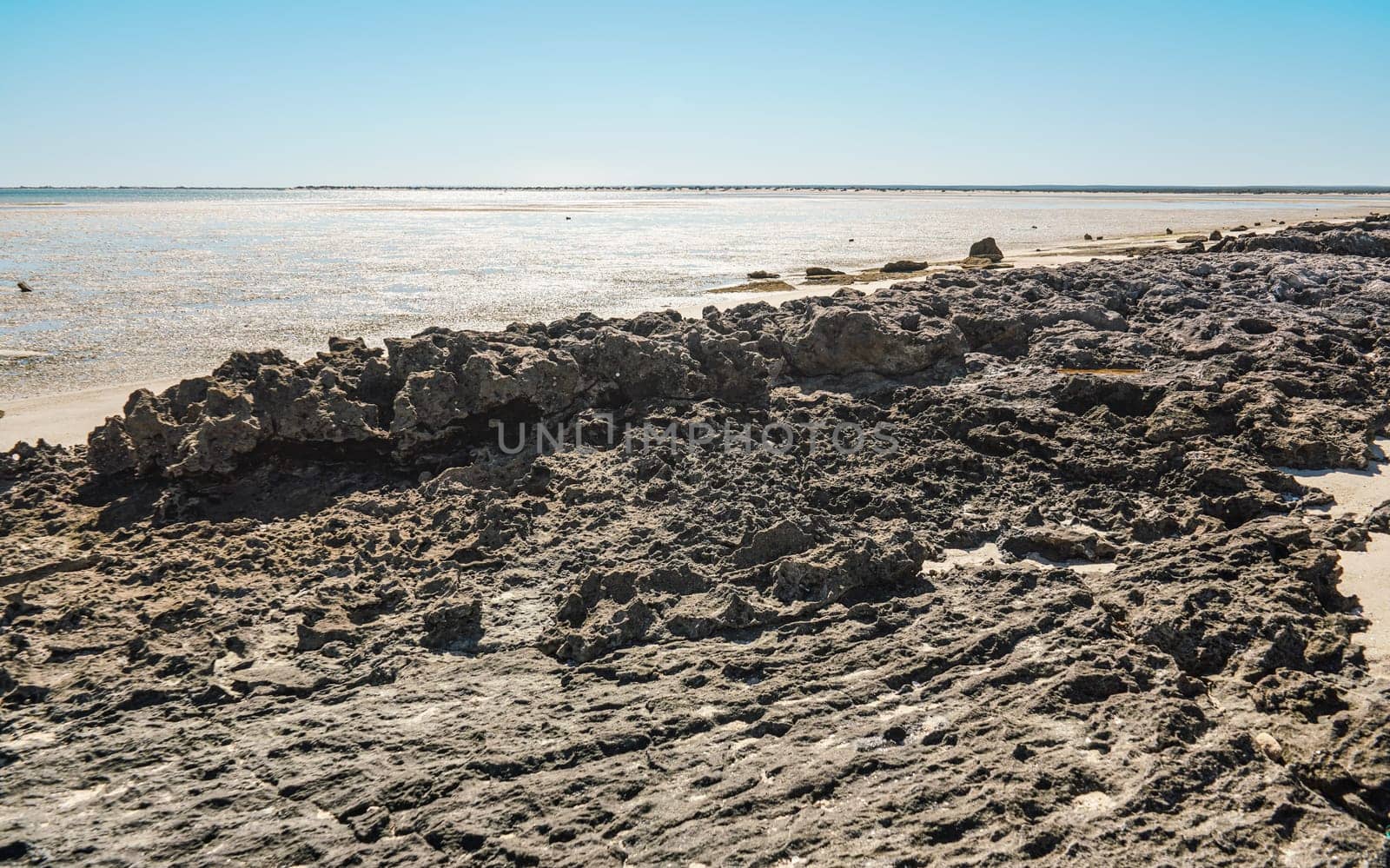 Small irregular dry stones visible at sand beach washed by sea water on a sunny day, closeup detail.