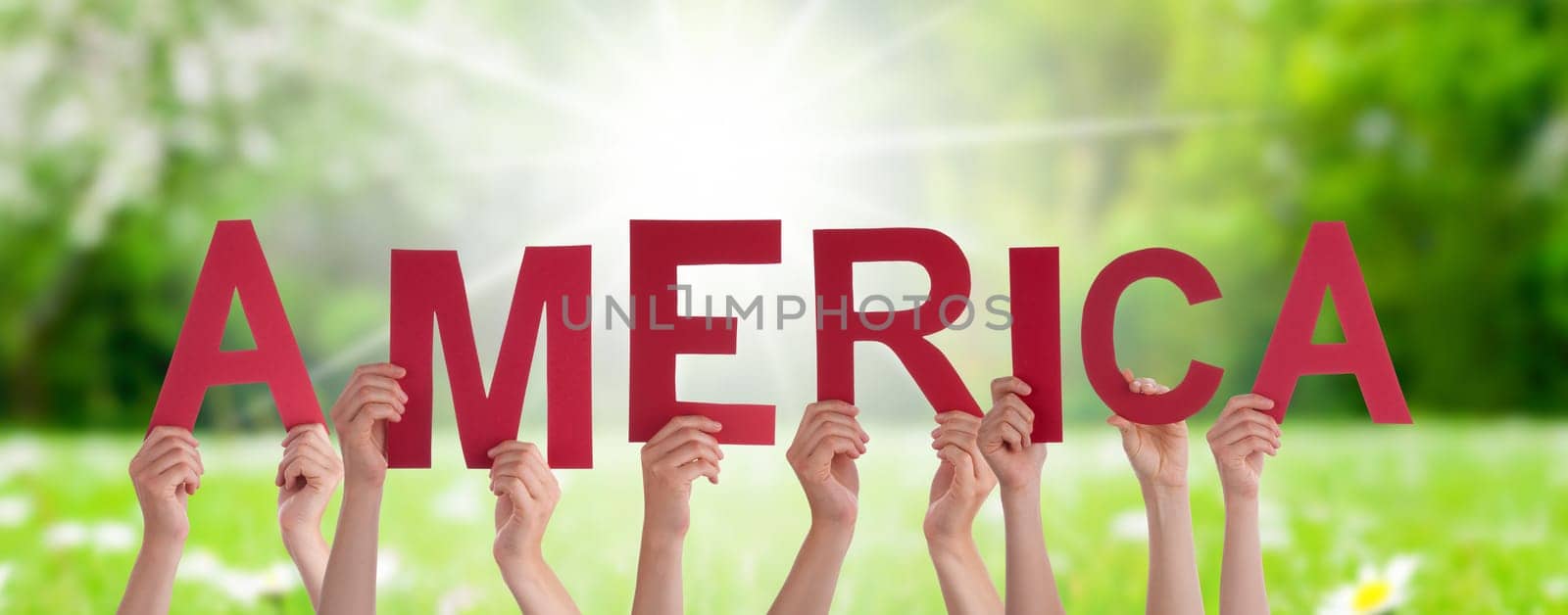 People Or Persons Hands Building English Word America. Sunny Green Grass Meadow As Background.