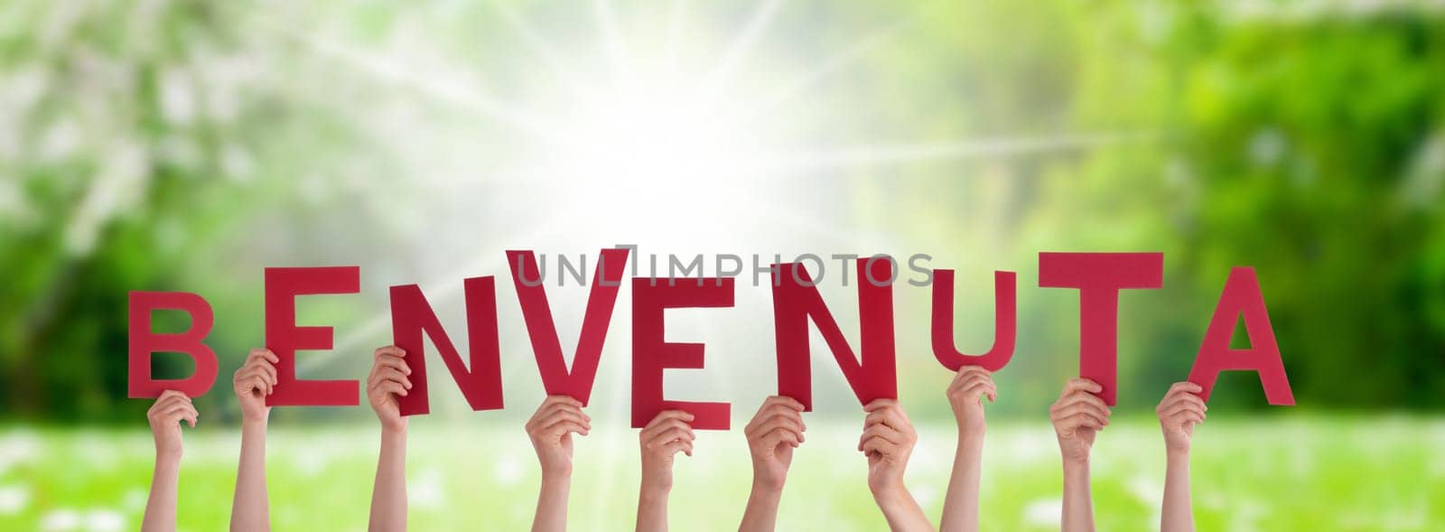 People Or Persons Hands Building Italian Word Benvenuta Means Welcome. Sunny Green Grass Meadow As Background.