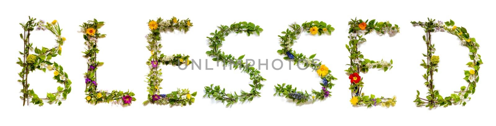 Blooming Flower Letters Building English Word Blessed. Colorful Spring and Summer Blossoms. White Isolated Background.