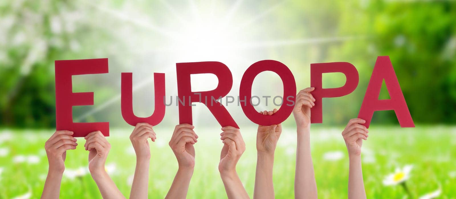 People Or Persons Hands Building German Word Europa Means Europe. Sunny Green Grass Meadow As Background.