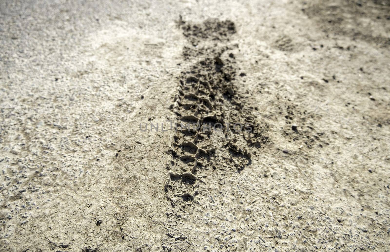 Detail of tire sign on a muddy ground in nature