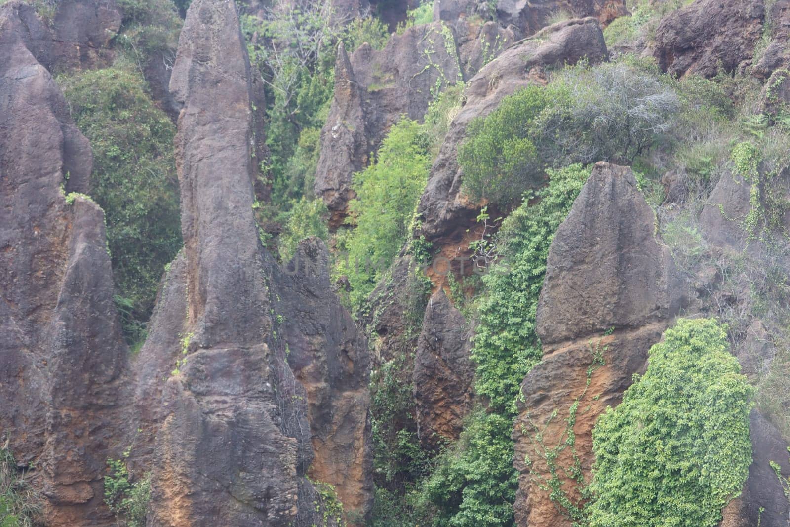 beautiful nature park full of animals of all kinds