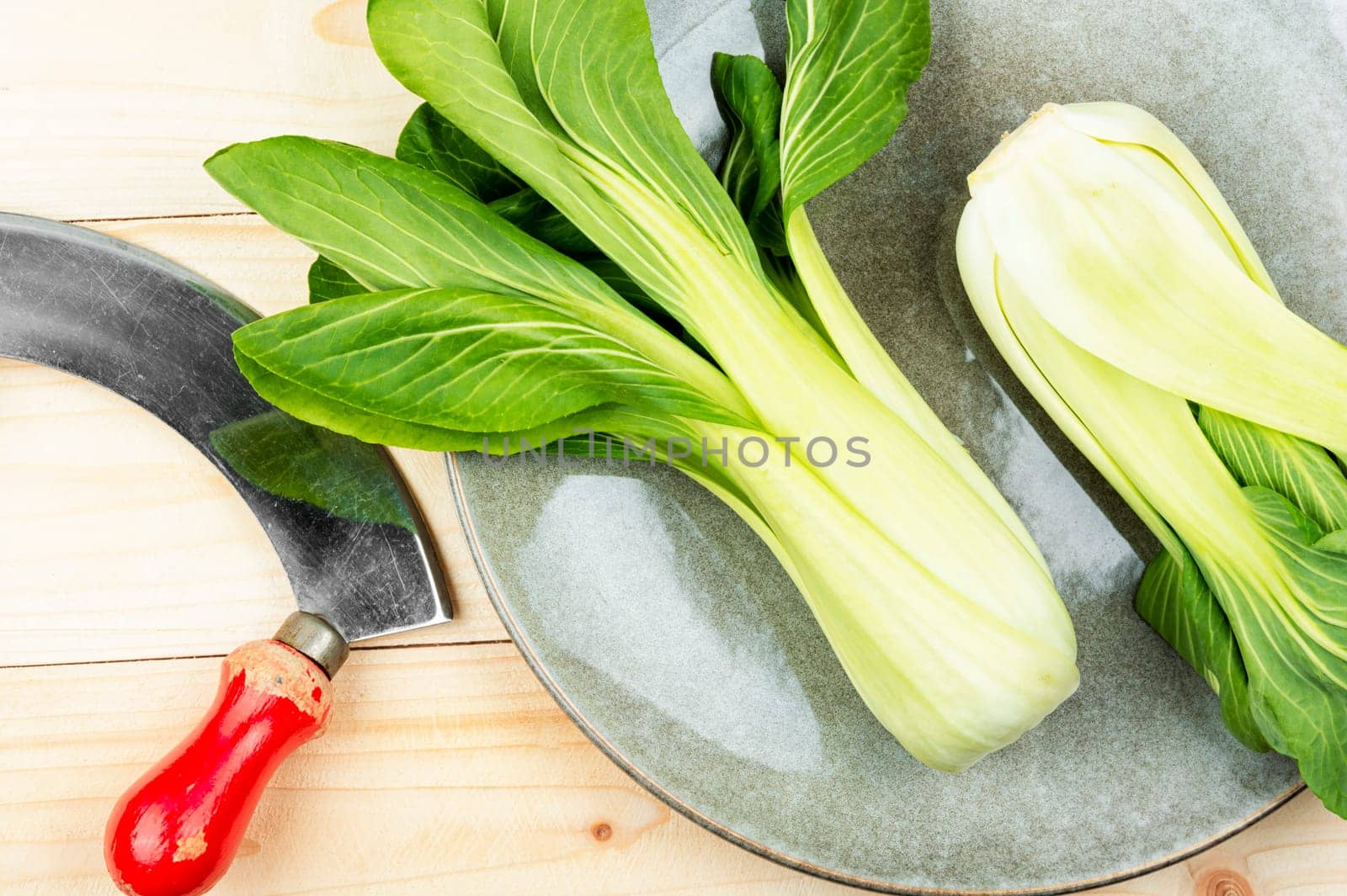 Bunches of fresh organic bok choy or Chinese cabbage on rustic wooden background