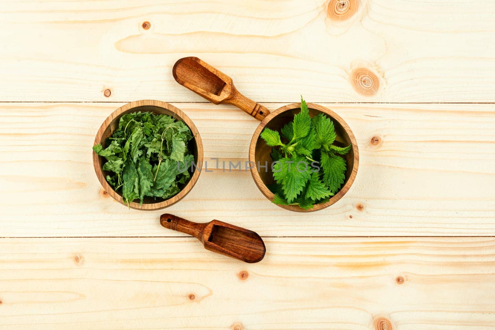 Fresh and dried nettle leaves with wooden spoon on the table. Medicinal plant