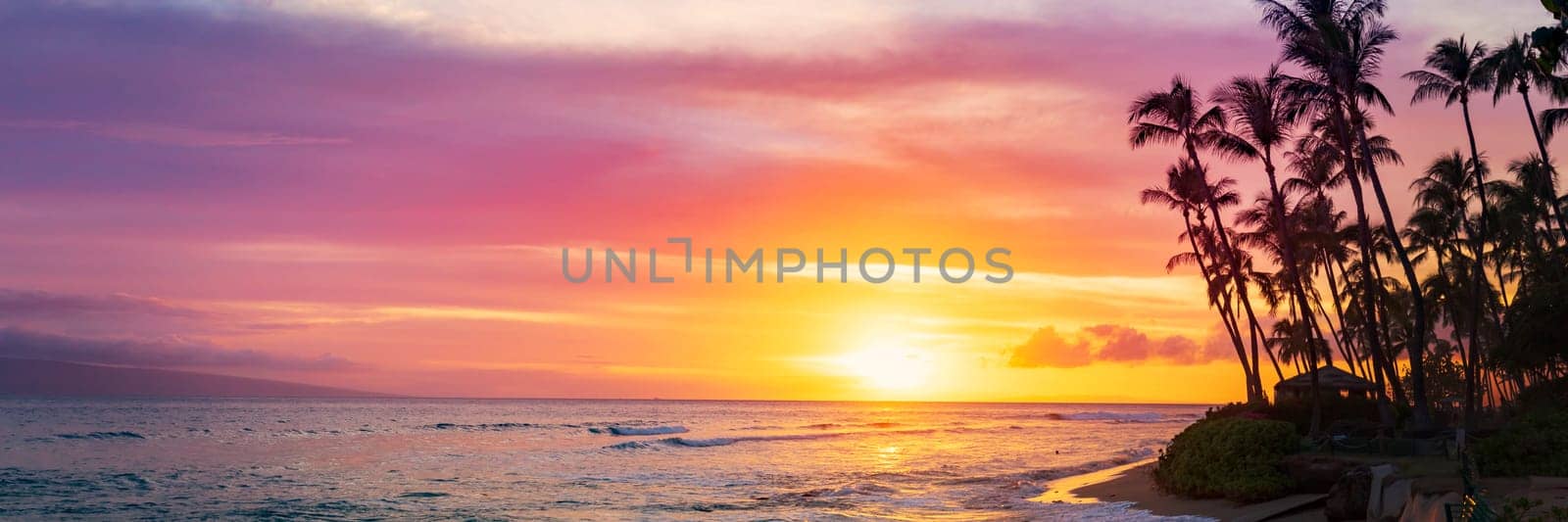 Silhouette coconut palm tree on sunset sky background