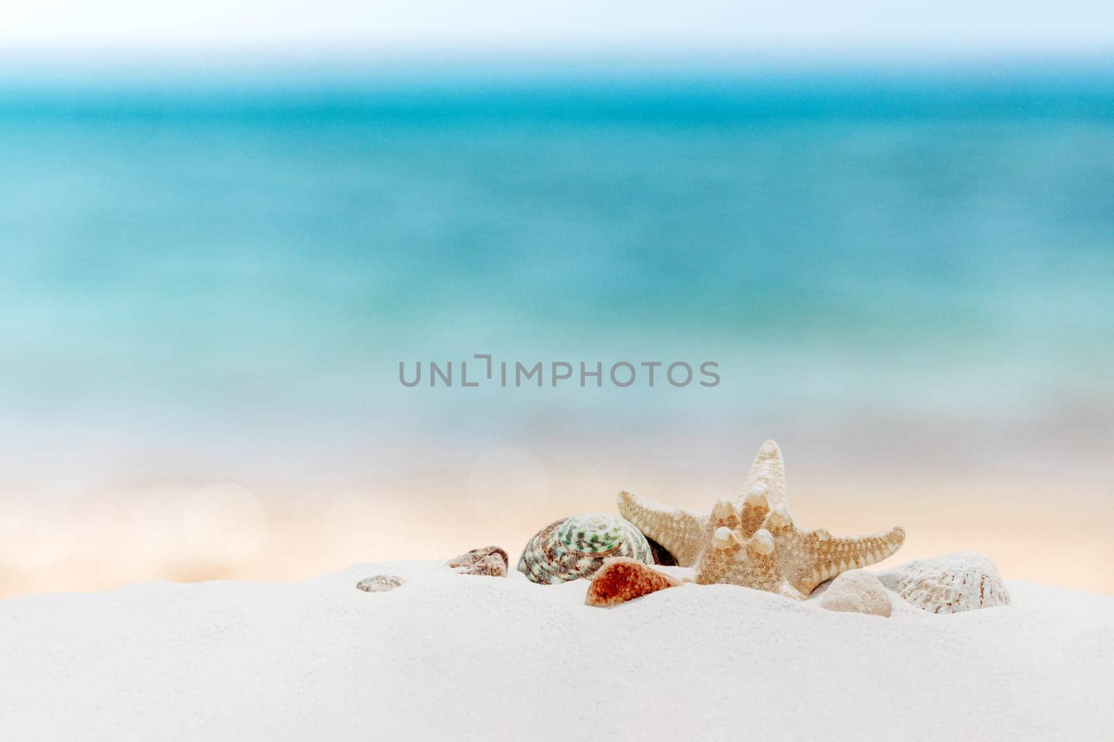 Vacation, beach, travel, relaxation concept. Symbolic background with beach sand, different colorful shells, blue sky, clouds, sea or ocean on back. Minimalism. Copy space for business advertisement