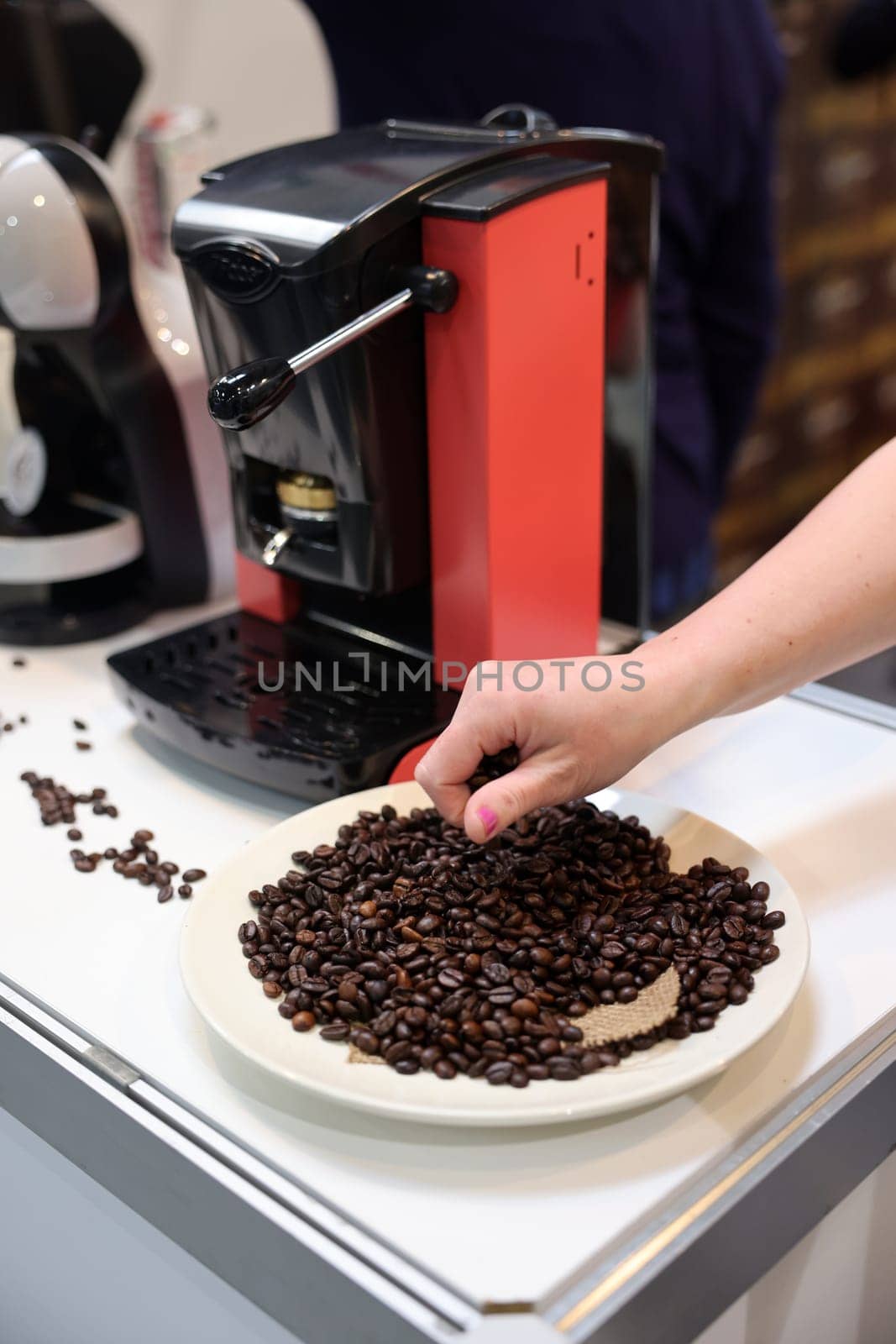 The barista checks the quality of the coffee beans before pouring them into the coffee machine