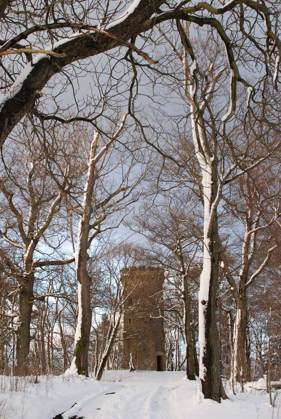 Vertical shot of an old tower at the Steinberg in the Harz mountains near Goslar, Germany