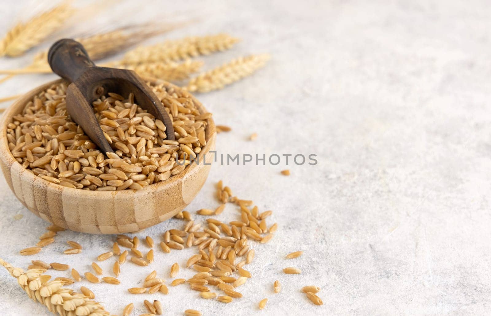 Bowl of raw dry rye grain with a wooden spoon on white table close up, copy space. Healthy alternative low gluten seeds. Protein source for vegan and vegetarian diet.