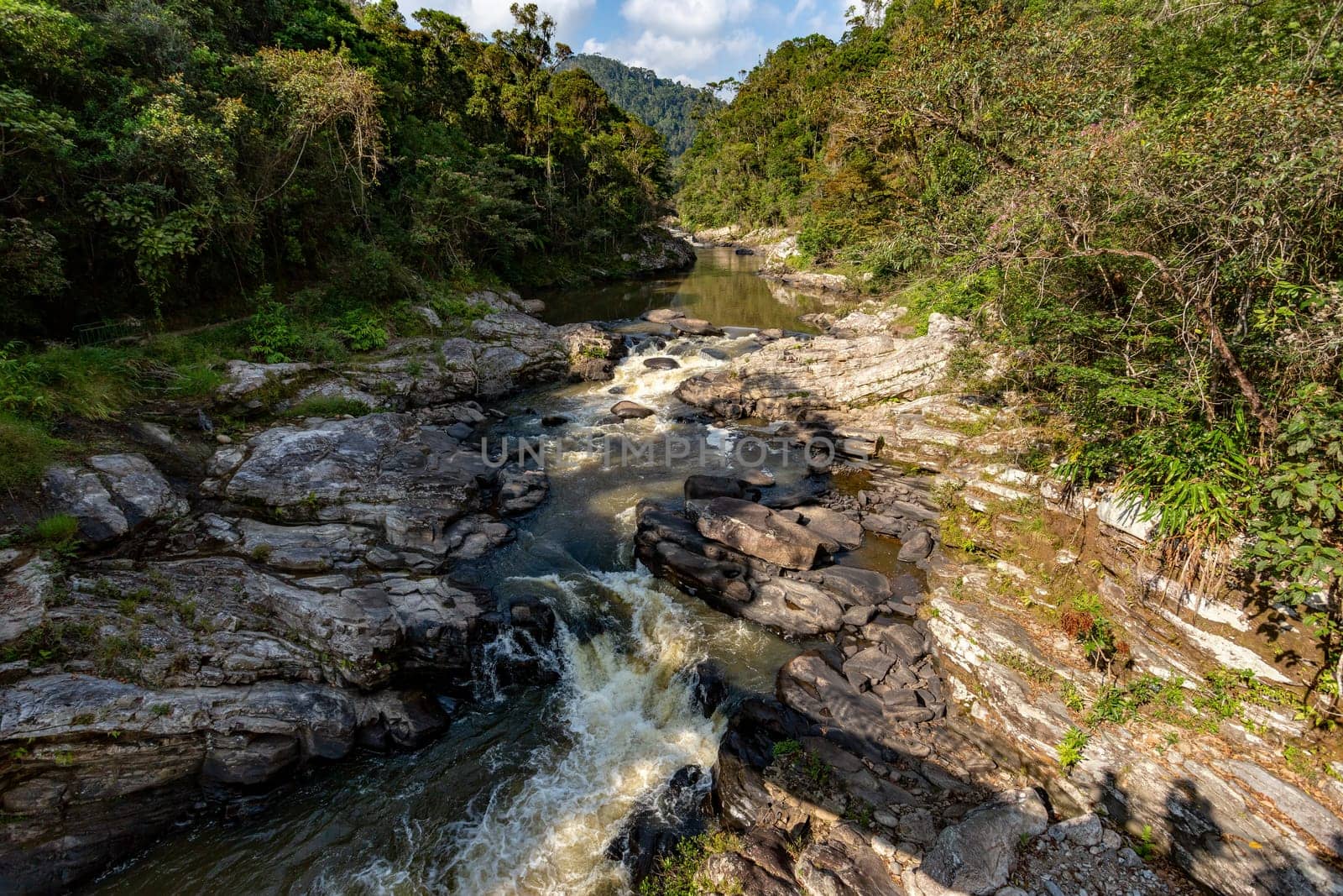 Madagascar mountain river in tropical forest on the hills. Sunny day. Ranomafana national park. Madagascar wilderness landscape