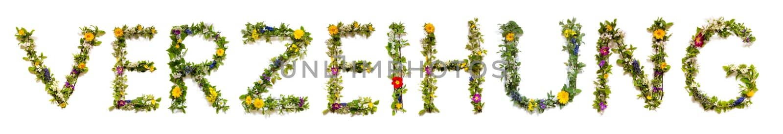 Blooming Flower Letters Building German Word Verzeihung Means Forgiveness. Colorful Spring and Summer Blossoms. White Isolated Background.