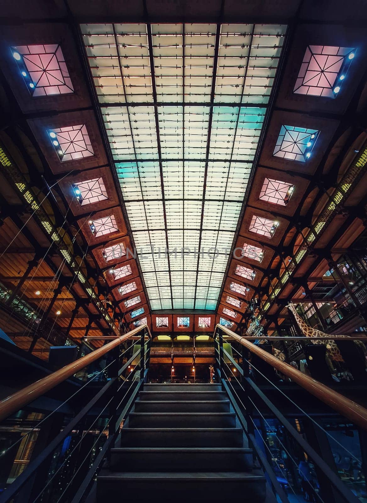 Staircase inside the Museum of Natural History, Paris, France. Architectural details and glowing glass ceiling