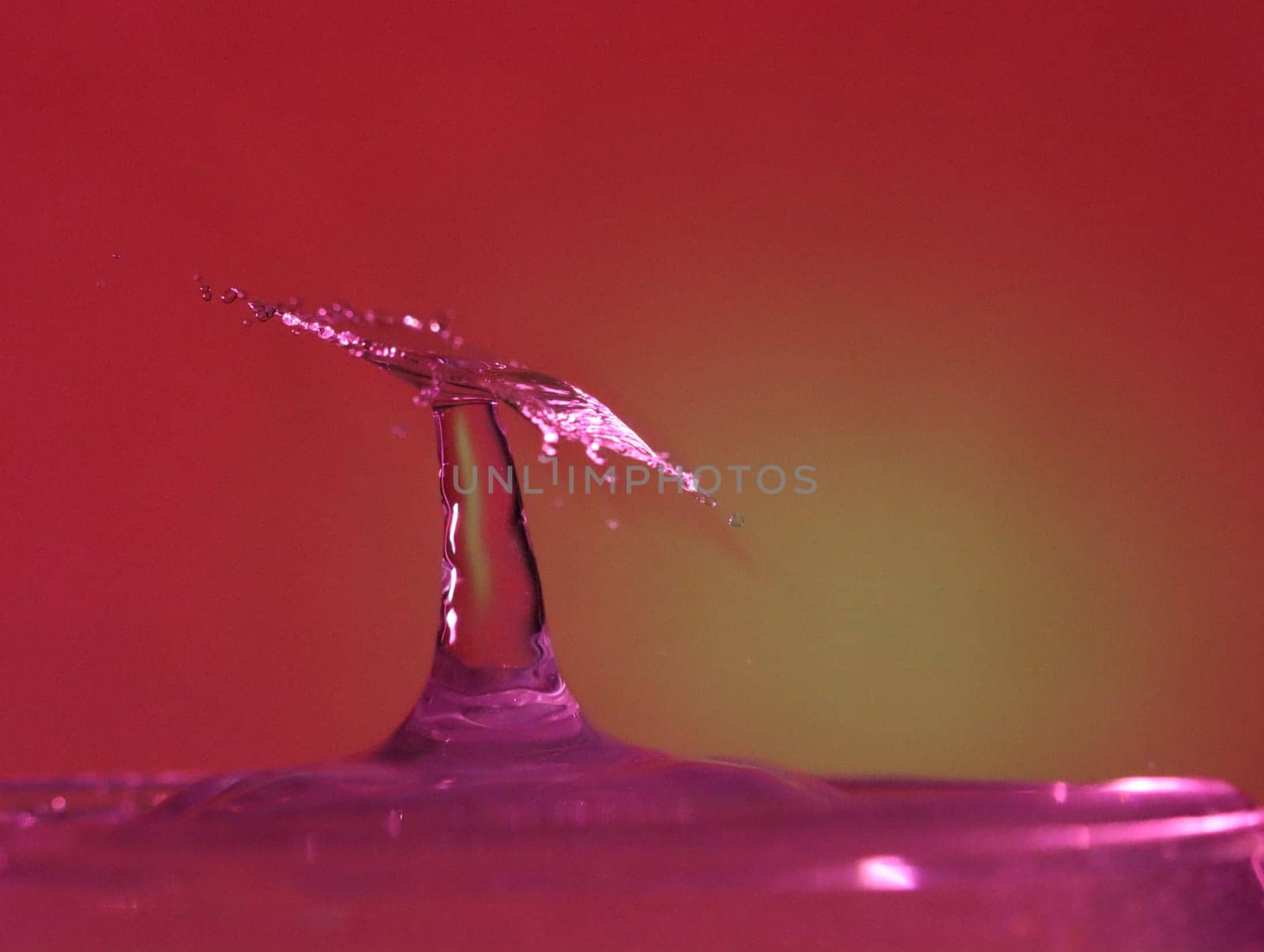 Drop of water colliding when it bounces and forming a palm tree