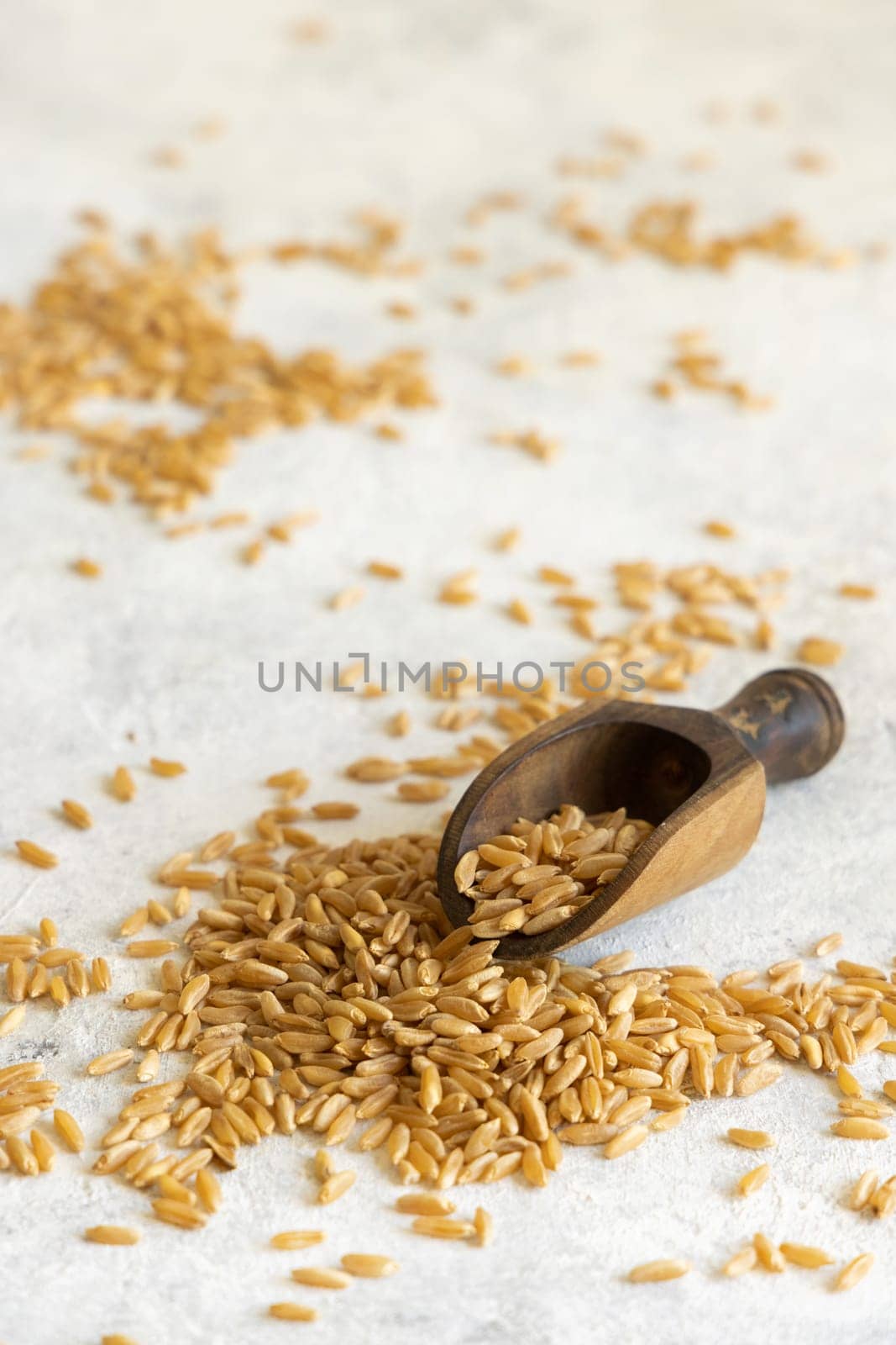 Wooden scoop of raw dry rye grain on white table close up. Healthy alternative low gluten seeds. Protein source for vegan and vegetarian diet.