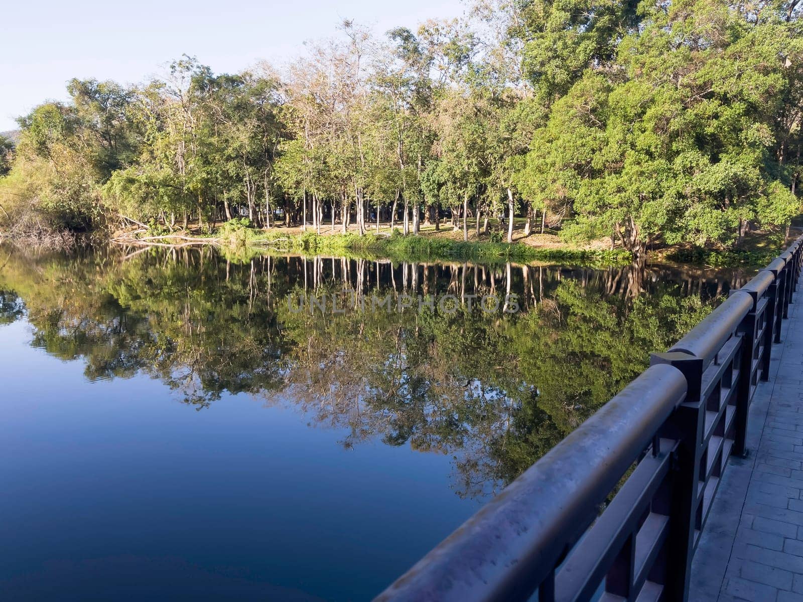 Quiet calm lake on a tropical water edge, stock photo