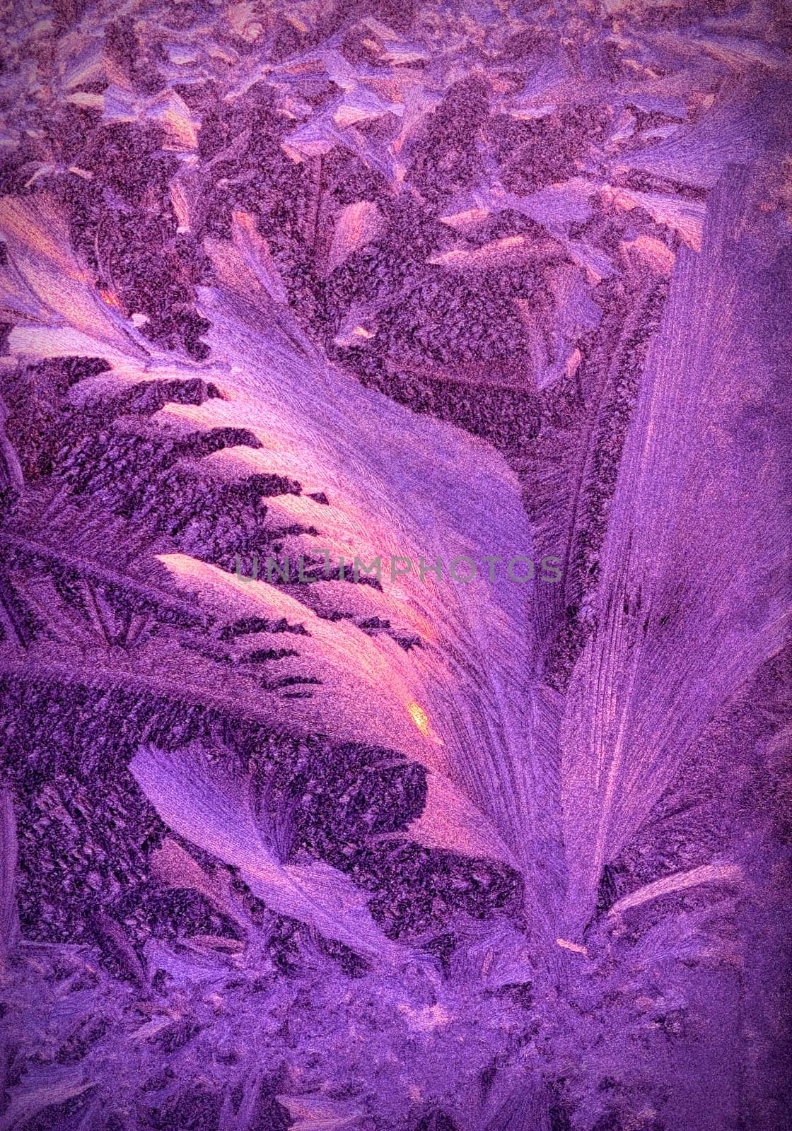 Frosty Window.